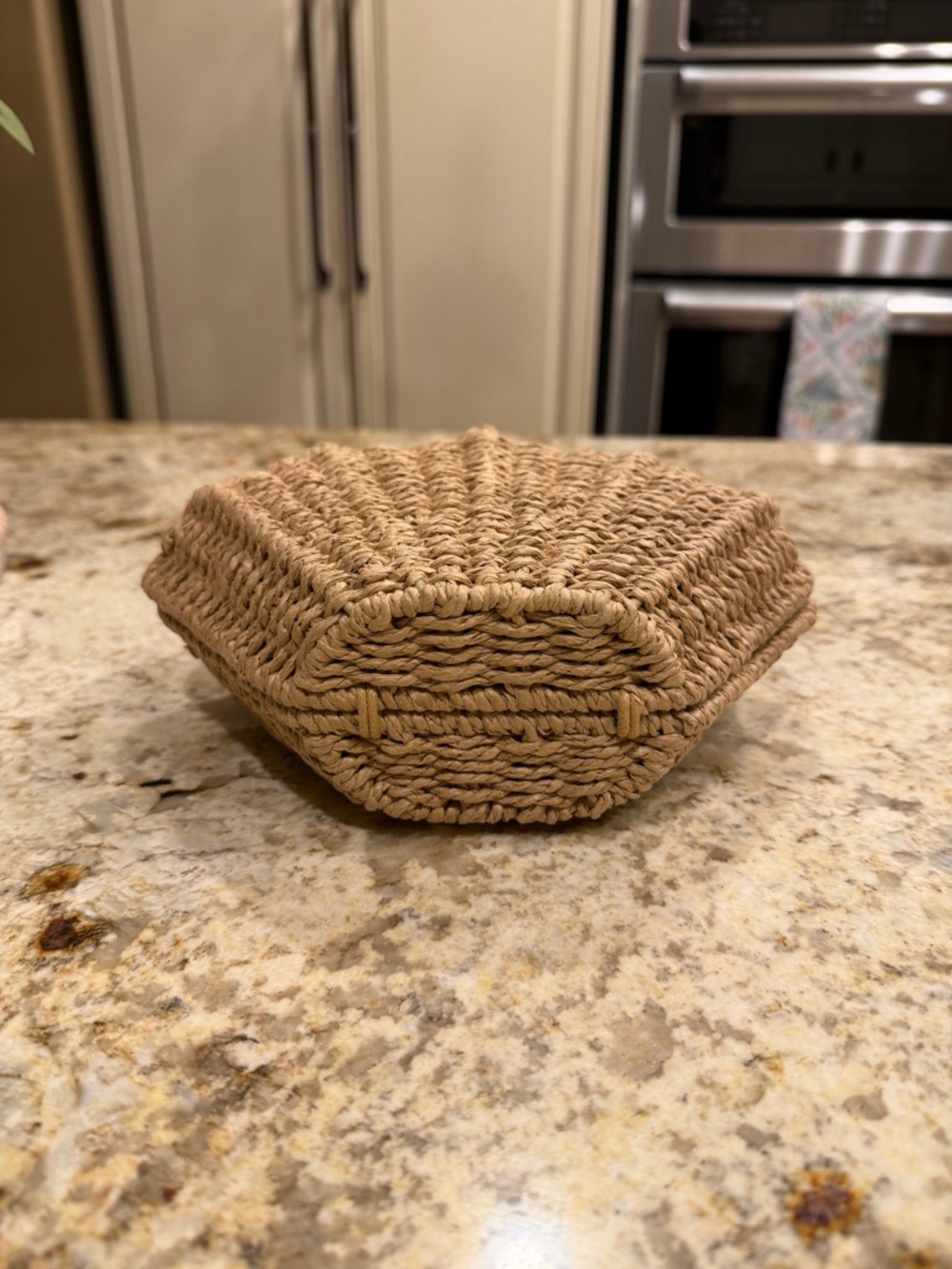 Alessia Woven Straw Shell Handbag in Natural Tan - Picture 5 of 8